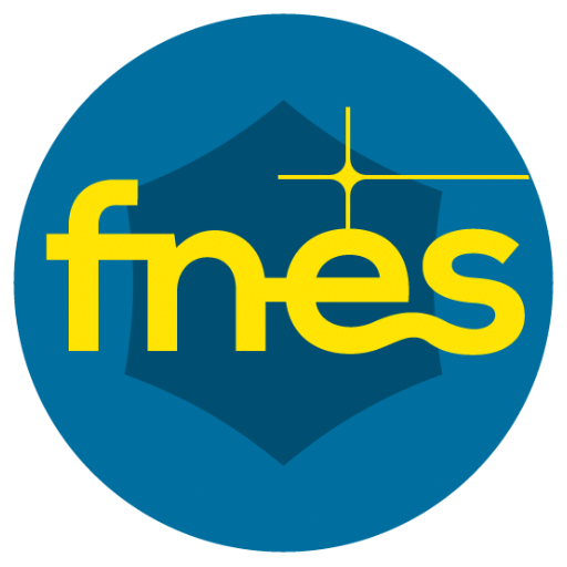 (FNES) Federação Nacional de Energia Solar: Insira aqui uma breve descrição da marca.